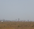 公園内