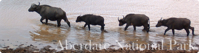 アバーディア国立公園