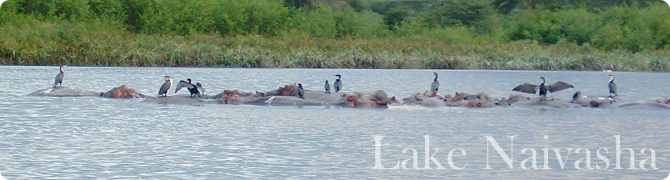 ナイバシャ湖