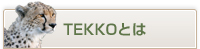 TEKKOとは